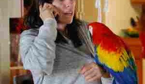 Heidi Fleiss busted in Pahrump, Nev. This photo shows Heidi with one of her parrots.