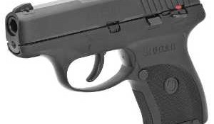 A 12-year-old student used a ruger semi-automatic gun in the Sparks Middle School shooting