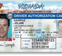 Many immigrants fail the Nevada driver authorization card test.
