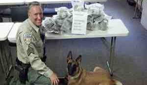 Nevada deouty Lee Dove posing with drugs from drug bust.
